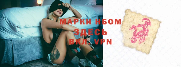 стаф Кулебаки
