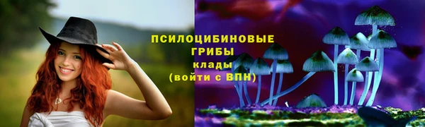 ГАЛЛЮЦИНОГЕННЫЕ ГРИБЫ Куйбышев