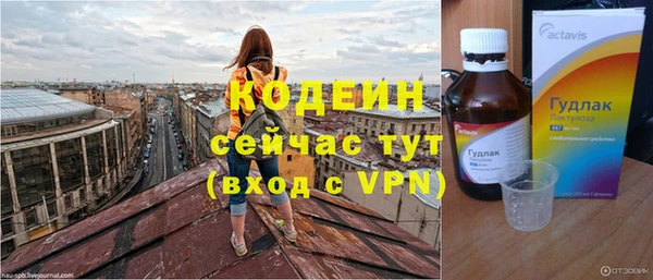 стаф Кулебаки