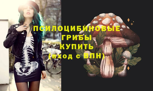 твердый Ладушкин