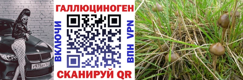 продажа наркотиков  Абаза  Галлюциногенные грибы мухоморы 